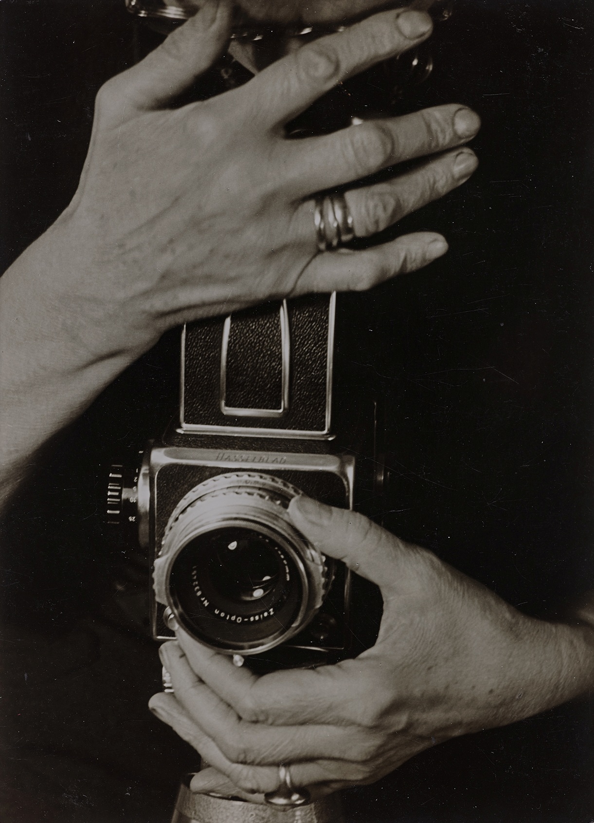 Kosmos des Lebens.<br>Die Fotografin Annelise Kretschmer
